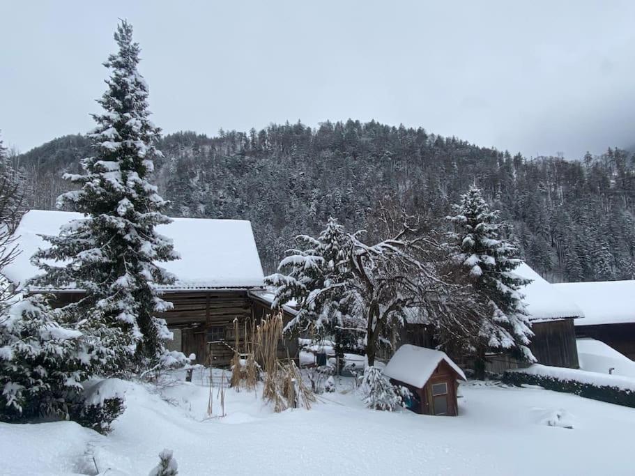 Panorama Wohnung Rungelin Bludenz Dış mekan fotoğraf